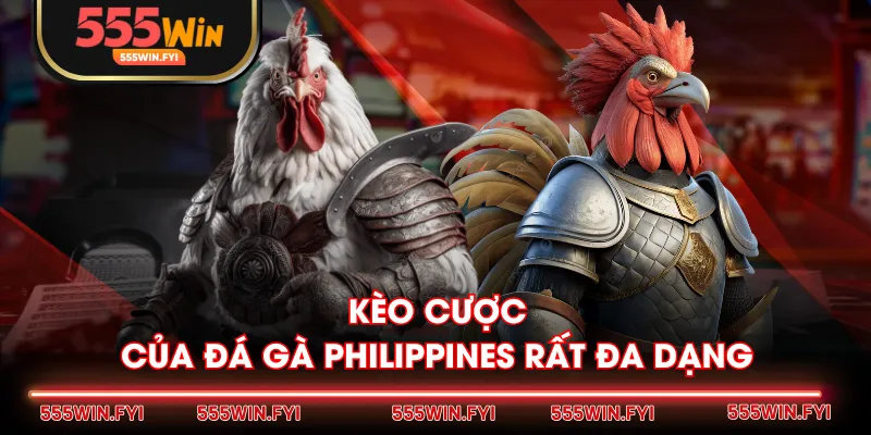 Kèo cược của đá gà Philippines rất đa dạng